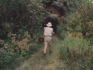 The Pink Lagoon A Sex Romp in Paradise