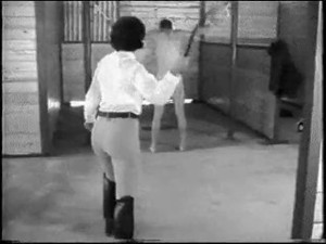 slave whipped by riding mistress(blak)