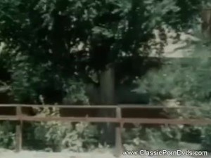 Classic Sex Nostalgia