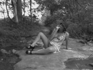 A Stroll in the Woods