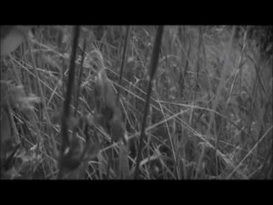 Now you gonna keep them down on the farm ?