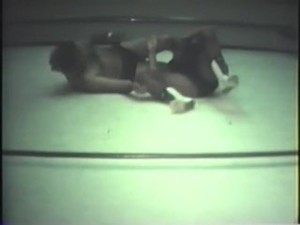 Mixed Ring wrestling. Vintage 4