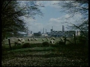 Lass jucken, Kumpel teil 1 (1972)