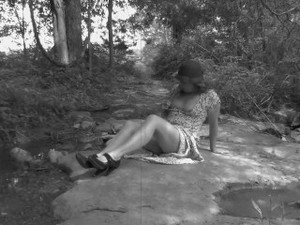 A Stroll in the Woods