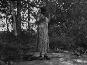 A Stroll in the Woods