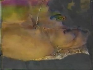 Lisa Anni Vintage porn