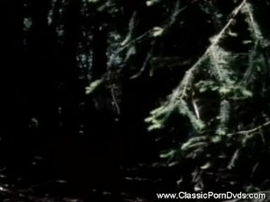 Marilyn Chambers Private Fantasies