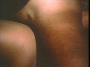 Late Night Fuck In The Woods