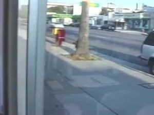 Vintage pornstar Sharon Mitchell sucent