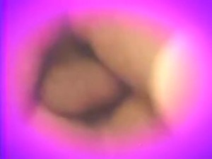 Sharon mitchel and Elle Rio