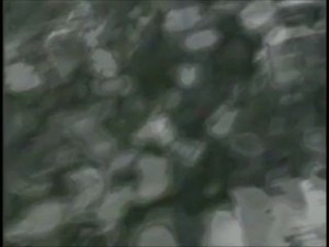 KRISTEN ou LILY LYNN OUTDOOR