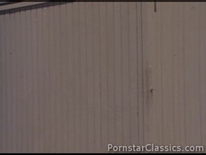 Pleasure Hunt 1984 (Classic)