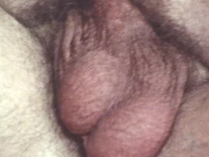 Sexy Swinger Anal Sex Threeway