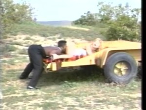 Vintage porn - Nina Hartley interracial