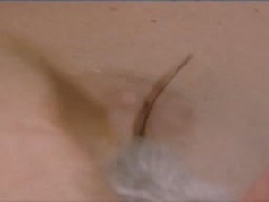 [PS1] ???•?s?? ?? ???°N‚N?N€?µ -