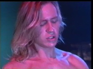 1991 Twin Peeks (Vintage) - Toppen Van