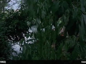 Celebrity Lynette & Leigh Harris nude