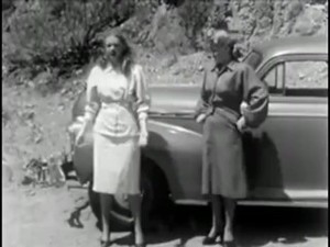 SEXY RETRO VINTAGE CAR-STOP HITCH-HIKING
