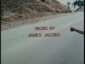 Vintage Interracial from the 1970s