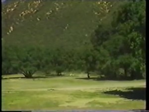 Vintage Interracial BBC Scene with Blonde