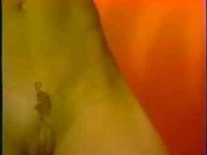 vintage wendy whoppers 1980s