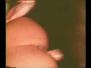 Vintage - Major League Tits II