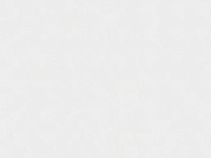 bustytanya 2018-02-04 21-58-16-427 ass