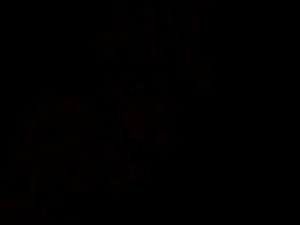 Indian lesbians in office