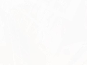 aysunseven popo show 2 2015