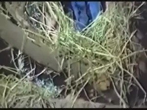 ZERRIN EGELILER - HAYAT KADINI YOSMA - ATA