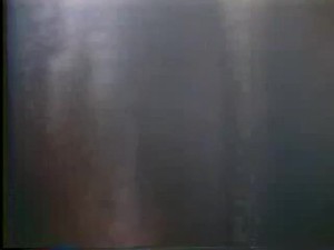 Ginger Lynn steamy shower blonde classic