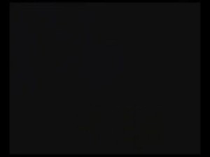 (Russ Meyer) Big Breast Orgy Vintage