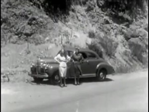 SEXY RETRO VINTAGE CAR-STOP HITCH-HIKING